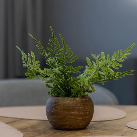 Vip Borowa Жешув